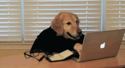 Doggo on their computer