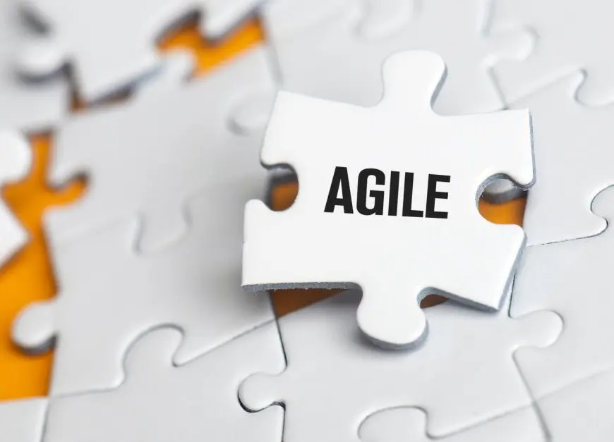 Agile Project Management: A Beginner’s Guide
