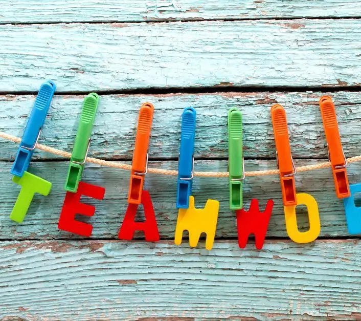 Why Project Management Success Needs Good Teamwork