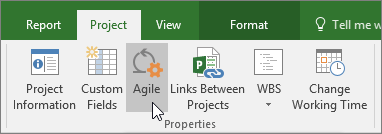 Screenshot of the Agile function in Microsoft Project