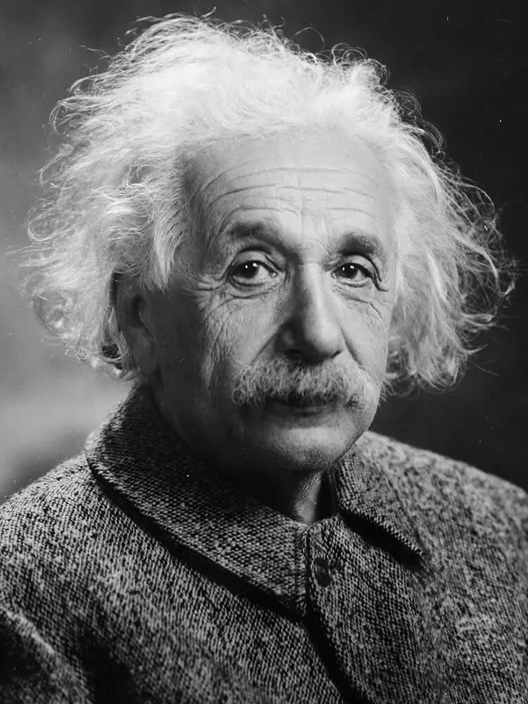 Albert Einstein Porträt